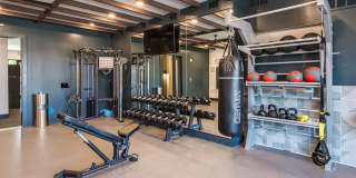 Aviata West Love Gallery 17