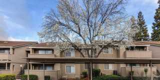 Greenback Gardens Gallery 6