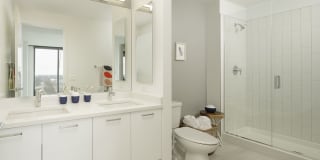 Solstice on the Park Gallery 24