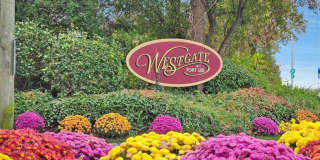 342 Village Court Gallery 1