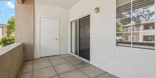 Silverbell Springs Gallery 67