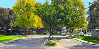 Springs of Royal Oaks Gallery 3