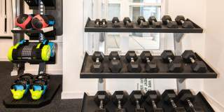 9 Ten North Gallery 30