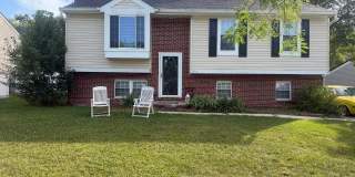 313 ARGUS Lane Gallery 1