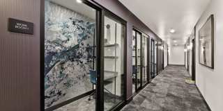 Stellar Gallery 12