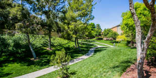 The Layne at Peccole Ranch Gallery 36