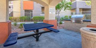 Bloom Apartment Homes Gallery 59