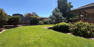 Spacious 4 Bedroom Home in Quiet Galt Neighborhood Gallery 39
