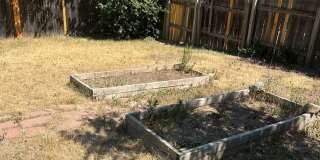 Spacious 3 Bedroom House with Attached Garage and Large Yard! Gallery 31