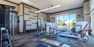 Harvest Station Gallery 6