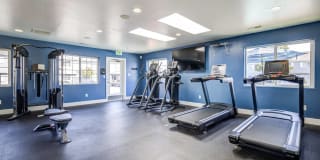 Avana Evergreen Gallery 50