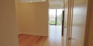 The Harper Gallery 130