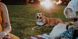 Aster - Affordable Housing Gallery 10