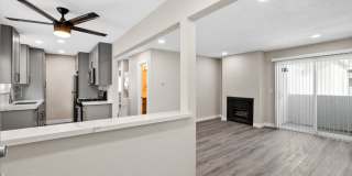 316 Beach Apartments Gallery 4