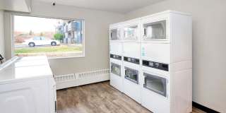 Ascent at Havana Gallery 12