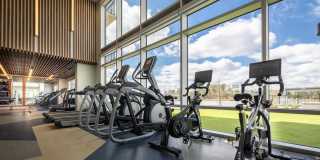 Two Lakes Edge Gallery 11