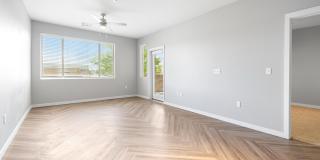 Olympus Alameda Gallery 5