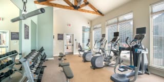 Olympus Waterford Gallery 12