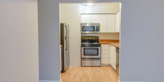 Spacious Studio Across from Meridian Hill Park! Gallery 4