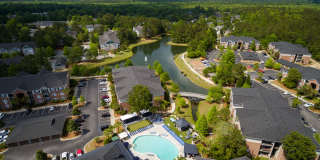 Atlantic Palms Gallery 12