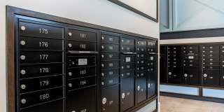 Alta Longwood Gallery 43