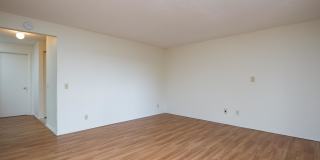 Caldera at Sunnybrook Gallery 37