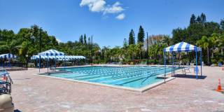 2581 CARAMBOLA Circle N Gallery 44