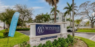 Windsor 335 Gallery 6