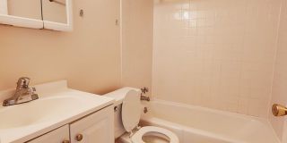 Graduate and Professional Gallery 109