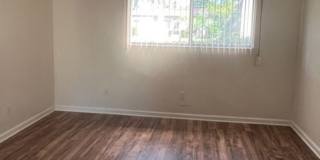 Charming 2BR/2BA Ground-Level Condo in South Pointe Villas – Fort Myers, FL Gallery 6
