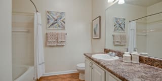 The Estates at Perimeter Gallery 23