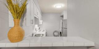 3243 Nacogdoches Gallery 6