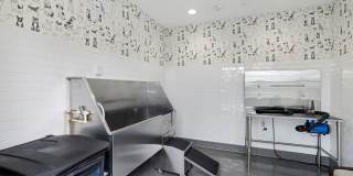 Onyx Gallery 21