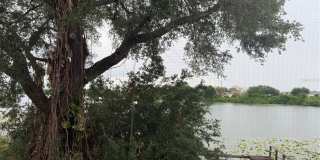 702 COUNTRY Lane NE Gallery 22