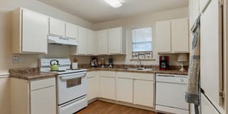 Lakeshore Landing Gallery 9