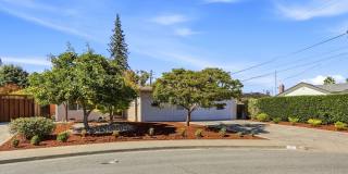 Charming Mountain View home with mature fruit trees and a private backyard retreat Gallery 1