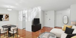 The Statesman Gallery 2