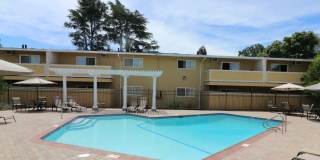 Mountain View Apartments Gallery 1