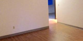 Carleton Terrace Gallery 2