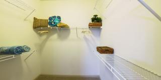 The Views at Harbortown Gallery 21