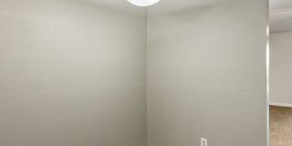 Pepperstone Gallery 8