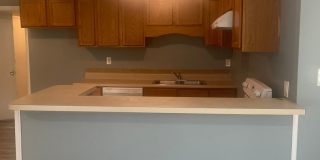 Knoxville 37920 - 3 bedroom, 1 bath home - Contact Lisa Vineyard & Shannon Russell (865)216-9334 Gallery 6