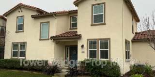 6436 Brando Loop Gallery 1