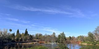 Beautiful Lakefront Home in the Vineyard! 55+ community Gallery 4