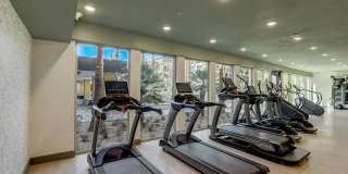 Aspire at Flamingo Grand Gallery 41