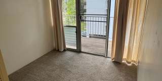 2 BD / 1 BA Unit in Wahiawa!!! *Pet-Friendly* 2 BD / 1 BA Unit in Wahiawa!!! *Pet-Friendly* Gallery 6