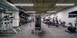 NMS Lincoln Gallery 46