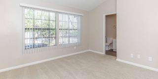 Oak Tree Court Gallery 62