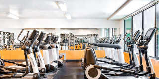 Arrive Hollywood Arrive Hollywood Gallery 31