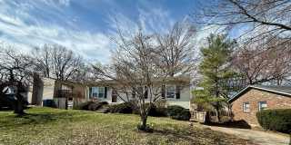 3 Bedroom with basement! Gallery 1